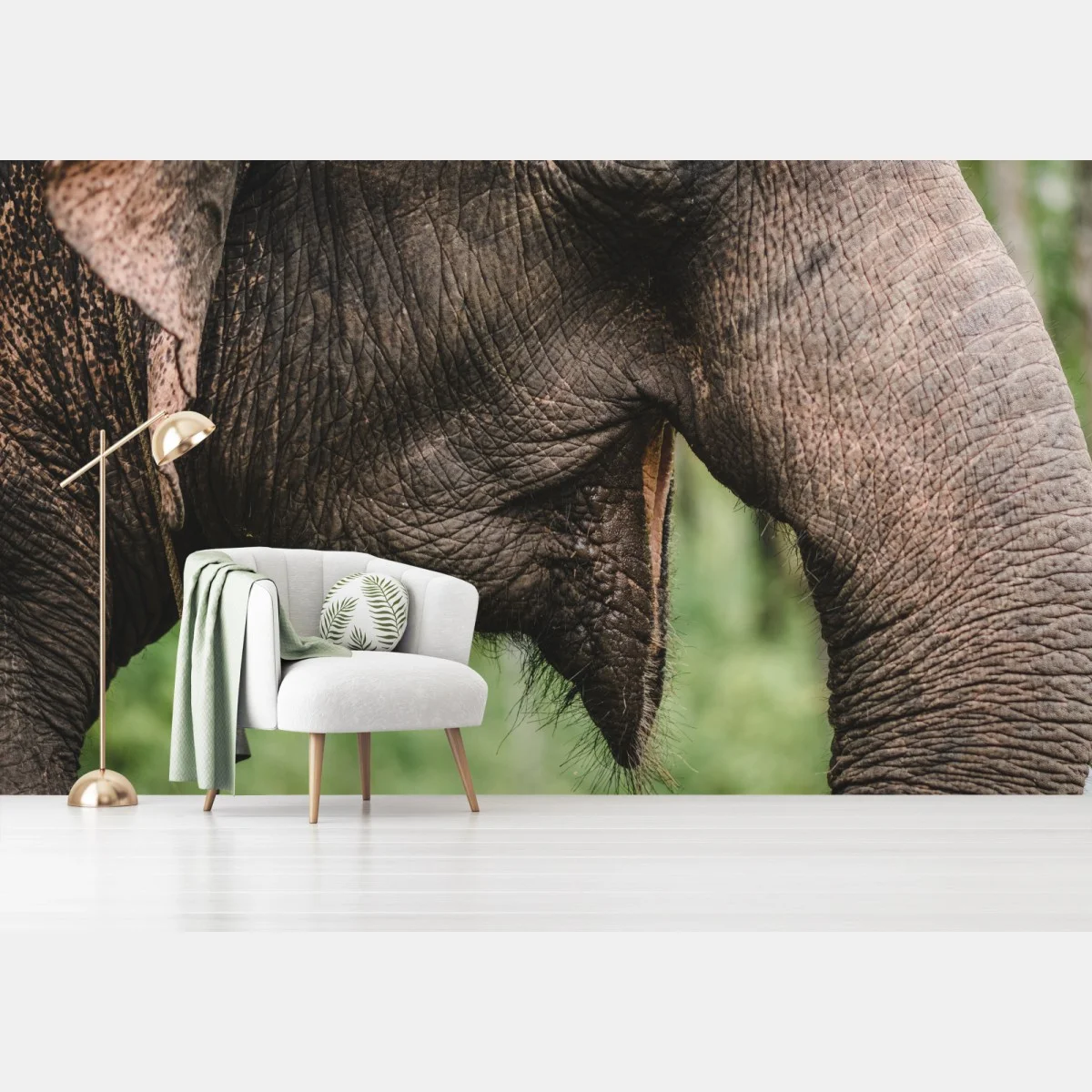 Papier peint détail majestueux d'un éléphant d'Asie – Wallnifity® Papier peint détail majestueux d'un éléphant d'Asie – Wallnifity®