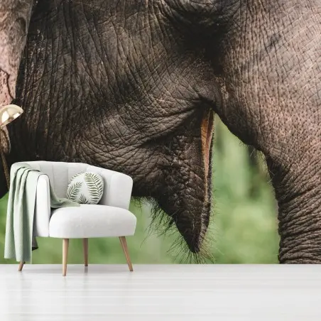 Papier peint détail majestueux d'un éléphant d'Asie – Wallnifity®