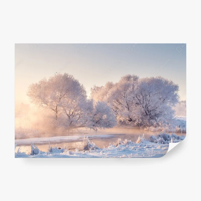 Papier peint aube rosée sur arbres givrés – Wallnifity® Papier peint aube rosée sur arbres givrés – Wallnifity®