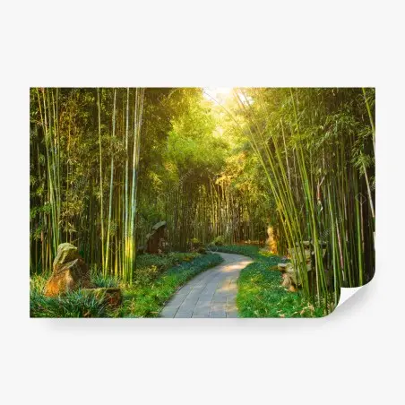 Papier peint sentier paisible dans une forêt de bambous – Wallnifity®