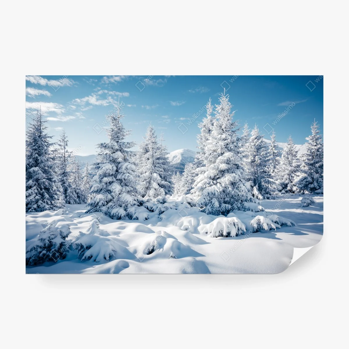 Papier peint forêt enneigée des Carpates – Wallnifity® Papier peint forêt enneigée des Carpates – Wallnifity®