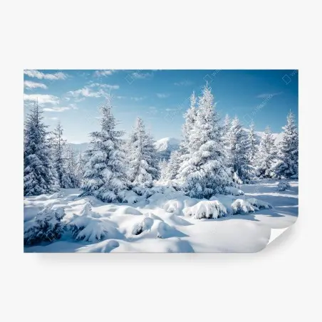 Papier peint forêt enneigée des Carpates – Wallnifity®