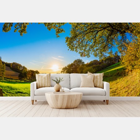 Papier peint chemin ensoleillé au coucher du soleil – Wallnifity®