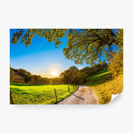 Papier peint chemin ensoleillé au coucher du soleil – Wallnifity®