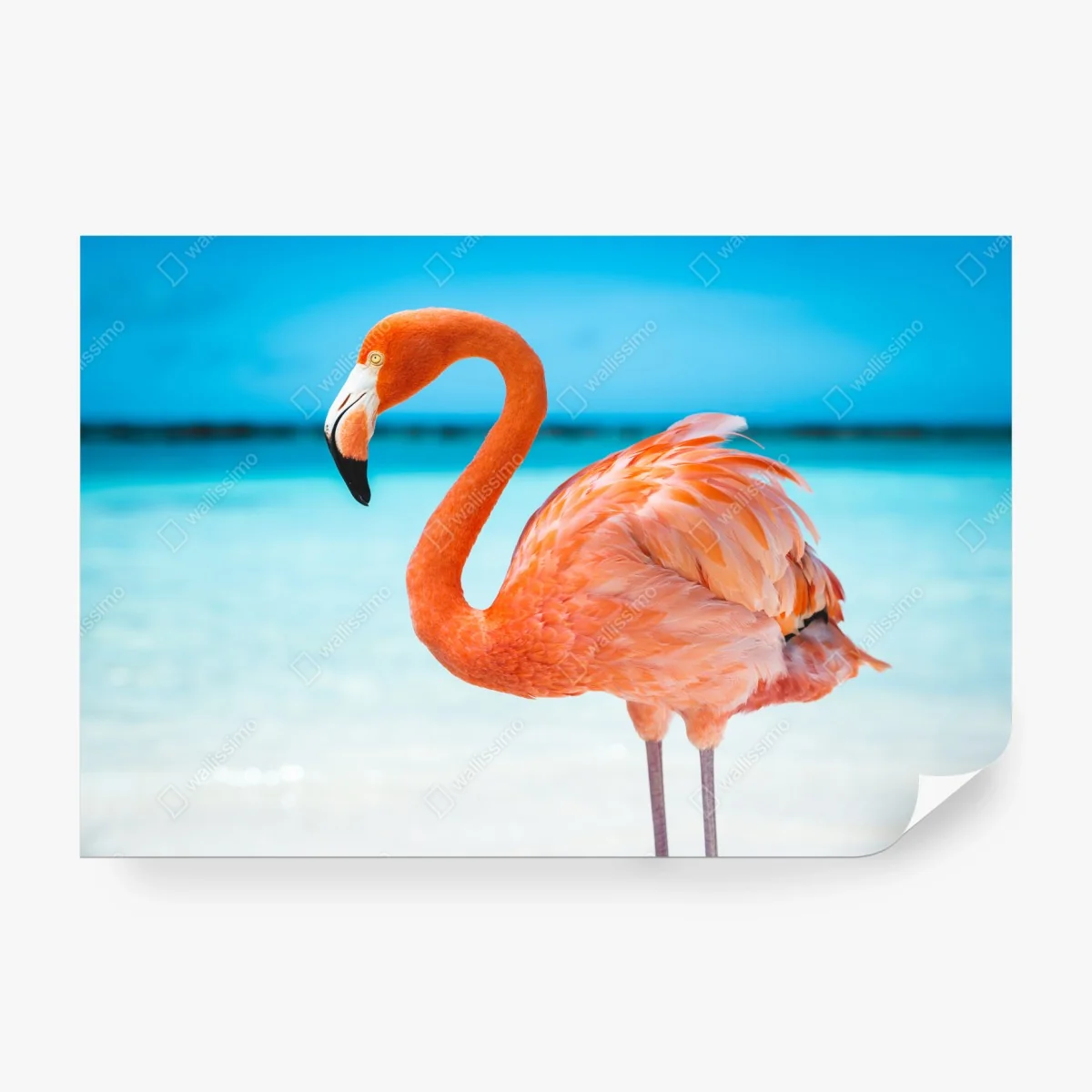 Papier peint flamant rose au bord de l'océan – Wallnifity® Papier peint flamant rose au bord de l'océan – Wallnifity®