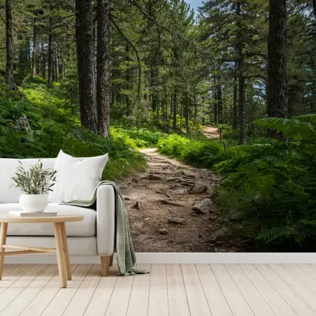 Papier peint chemin forestier verdoyant – Wallnifity®