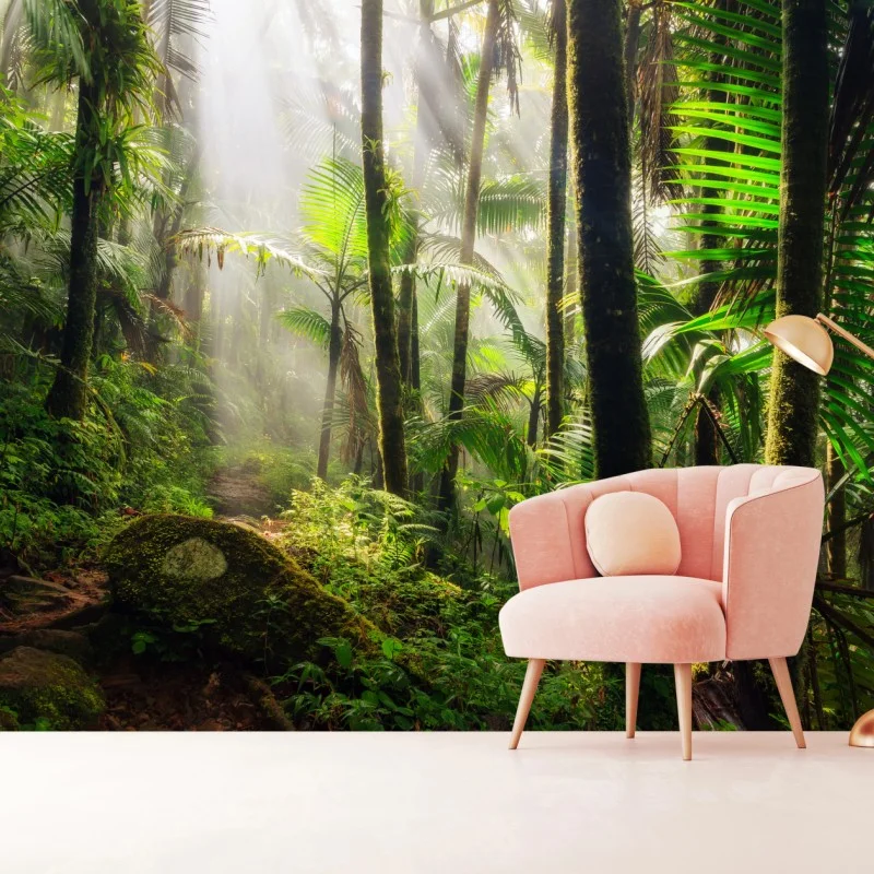 Forêts – Wallnifity®