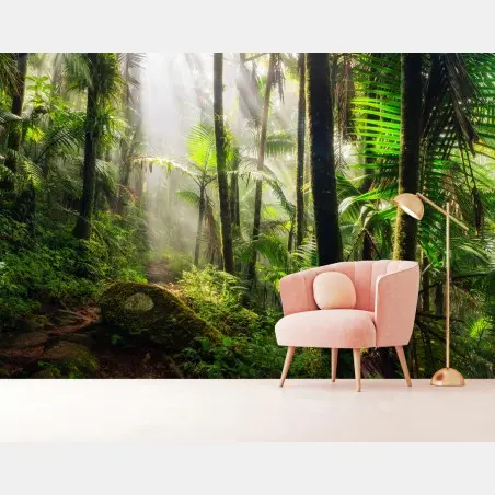 Papier peint sentier lumineux dans la forêt tropicale – Wallnifity®