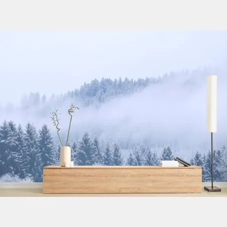 Papier peint forêt hivernale en brume, Allemagne – Wallnifity®
