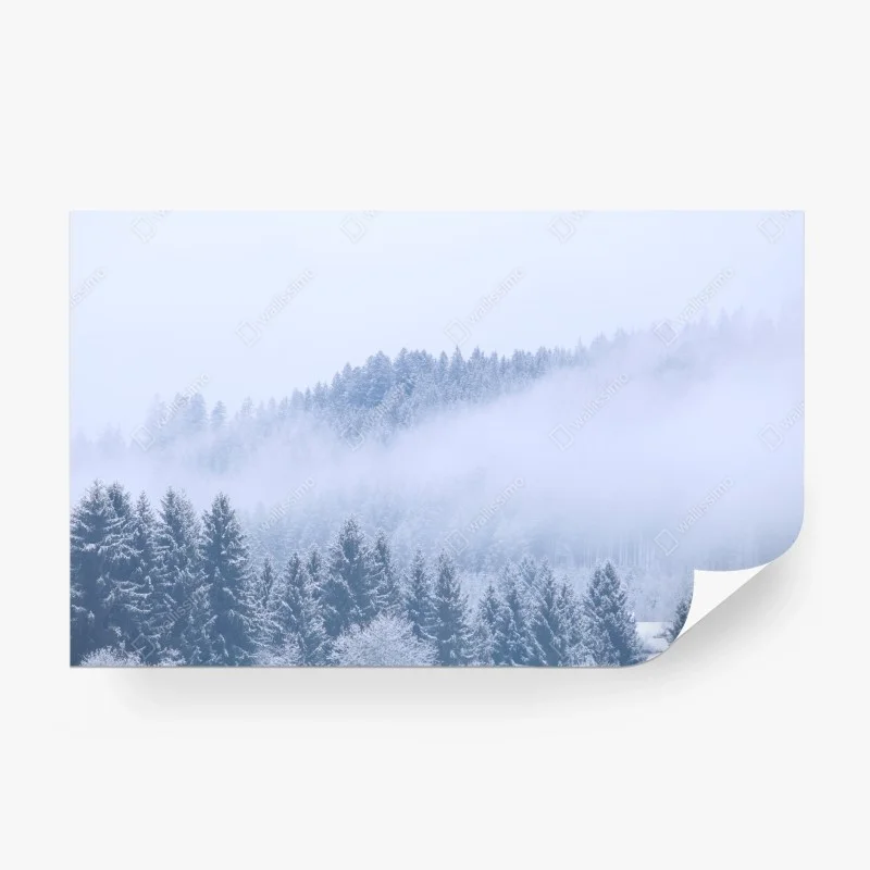 Papier peint forêt hivernale en brume, Allemagne – Wallnifity®