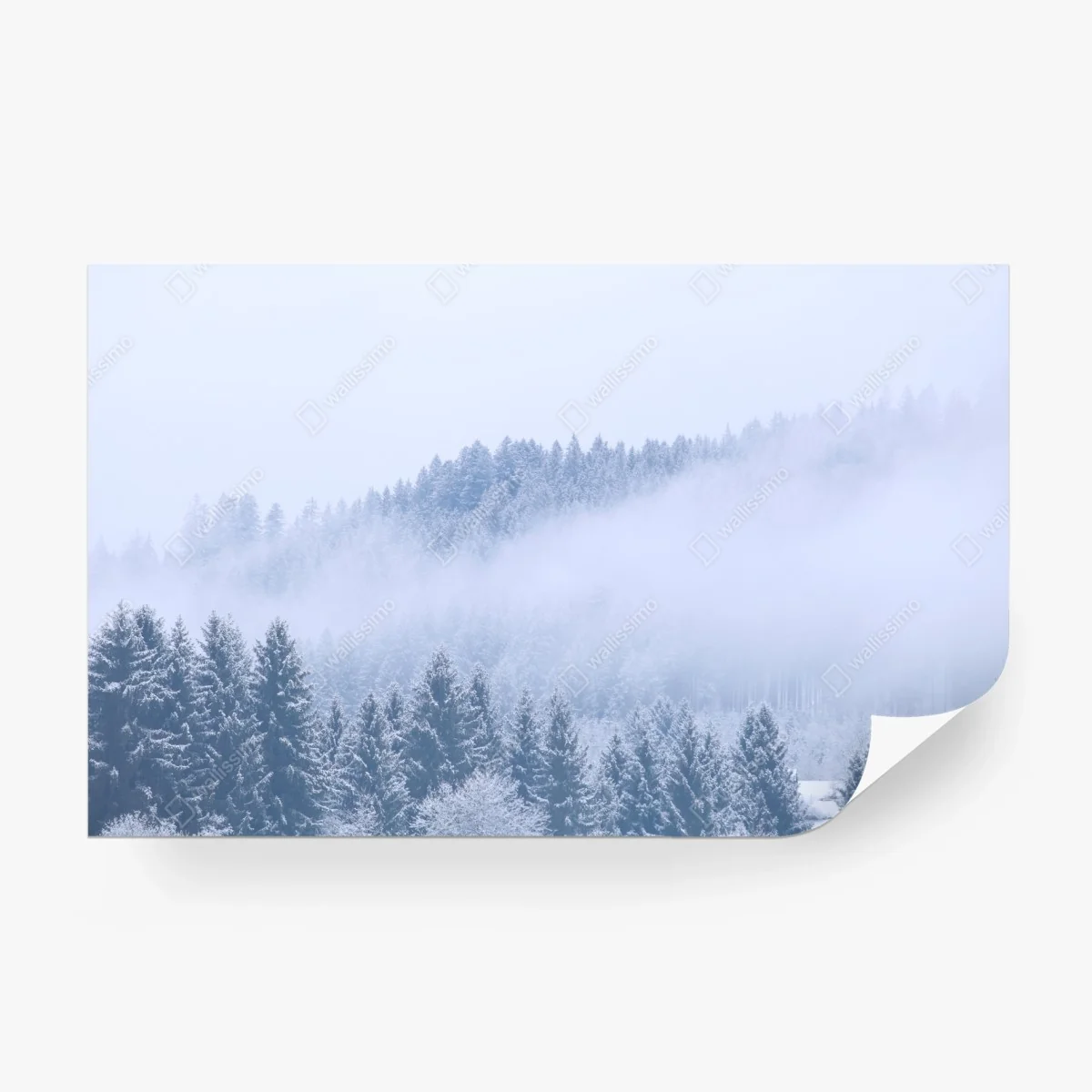 Papier peint forêt hivernale en brume, Allemagne – Wallnifity®