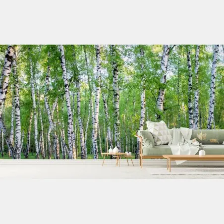 Papier peint forêt de bouleaux en été – Wallnifity®