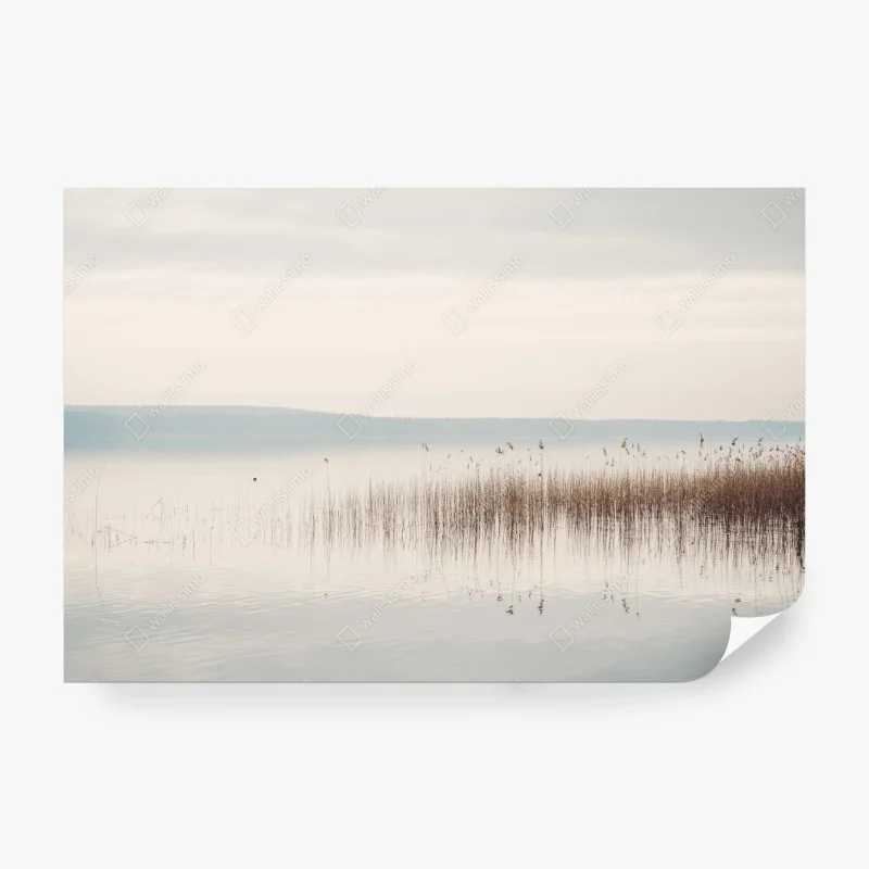 Papier peint brume sur le lac et roseaux – Wallnifity®