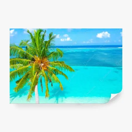 Papier peint évasion tropicale — lagon turquoise et palmier – Wallnifity®