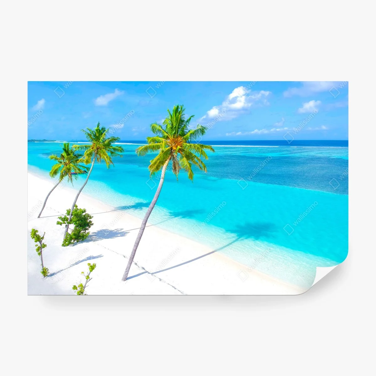 Papier peint évasion tropicale: palmiers et océan turquoise – Wallnifity®