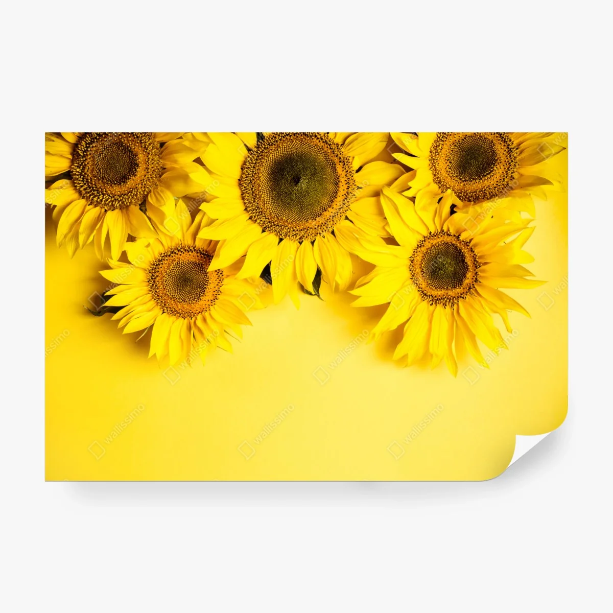 Papier peint bouquet de tournesols sur fond jaune – Wallnifity® Papier peint bouquet de tournesols sur fond jaune – Wallnifity®