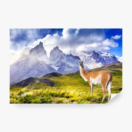 Papier peint paysage sauvage de Torres del Paine – Wallnifity®