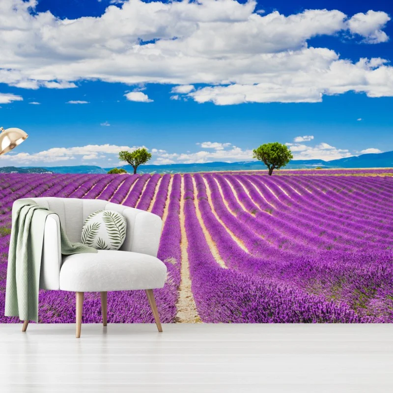 Paysages – Wallnifity®