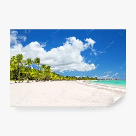 Papier peint paradis de palmiers à Punta Cana – Wallnifity®