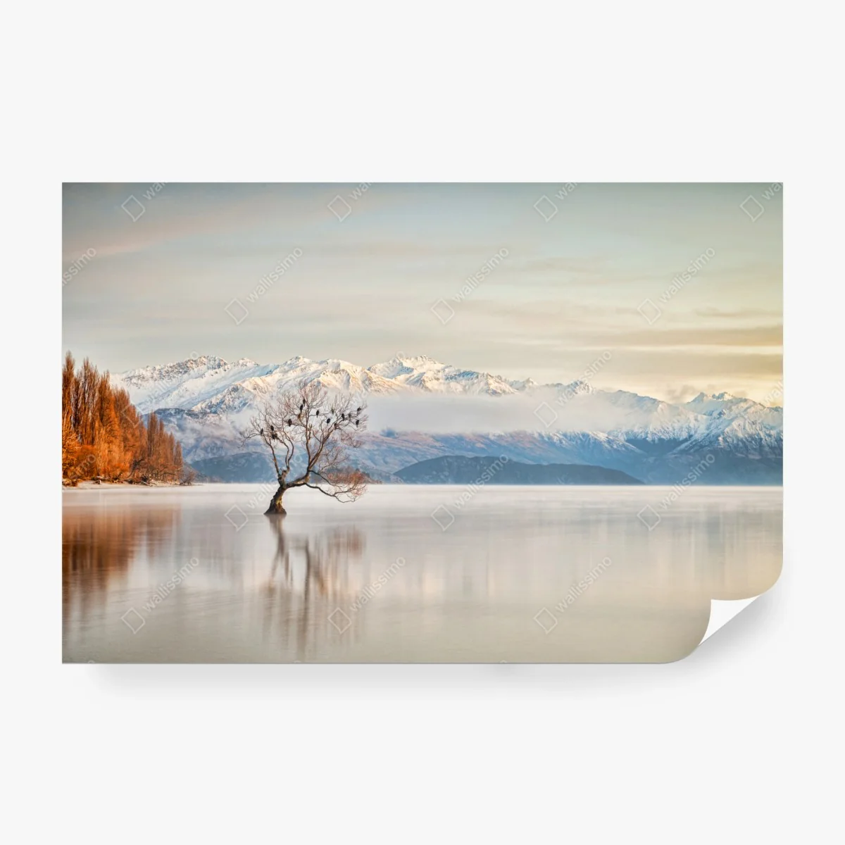 Papier peint arbre solitaire sur le lac Wanaka en hiver – Wallnifity® Papier peint arbre solitaire sur le lac Wanaka en hiver – Wallnifity®