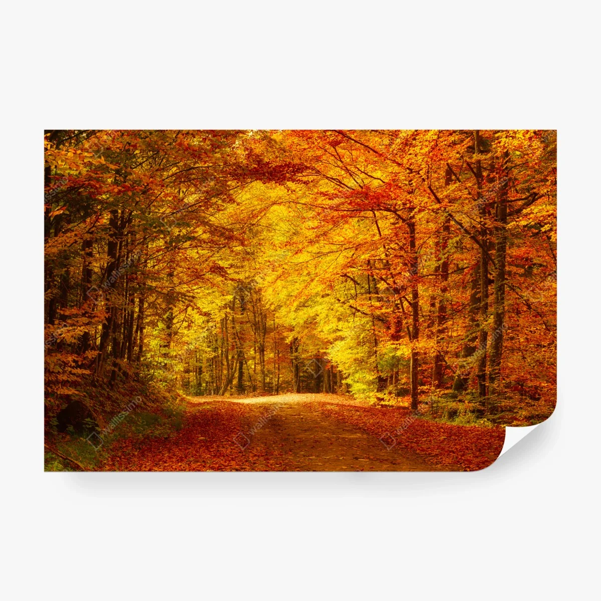 Papier peint allée d'automne dorée – Wallnifity® Papier peint allée d'automne dorée – Wallnifity®