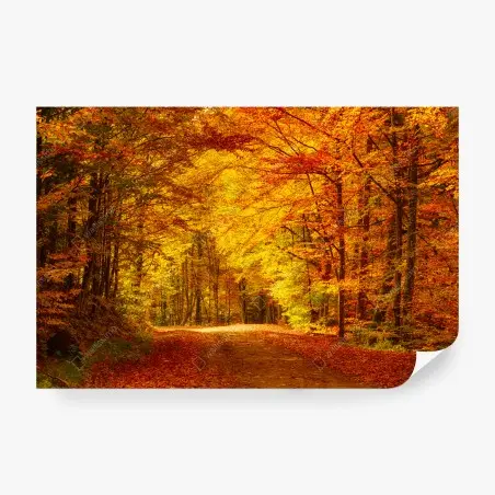 Papier peint allée d'automne dorée – Wallnifity®
