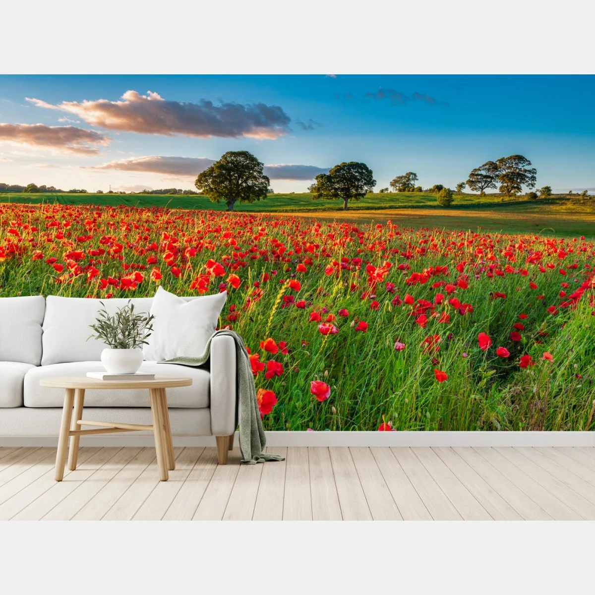 Papier peint champ de coquelicots près de Corbridge – Wallnifity® Papier peint champ de coquelicots près de Corbridge – Wallnifity®