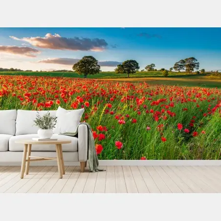 Papier peint champ de coquelicots près de Corbridge – Wallnifity®