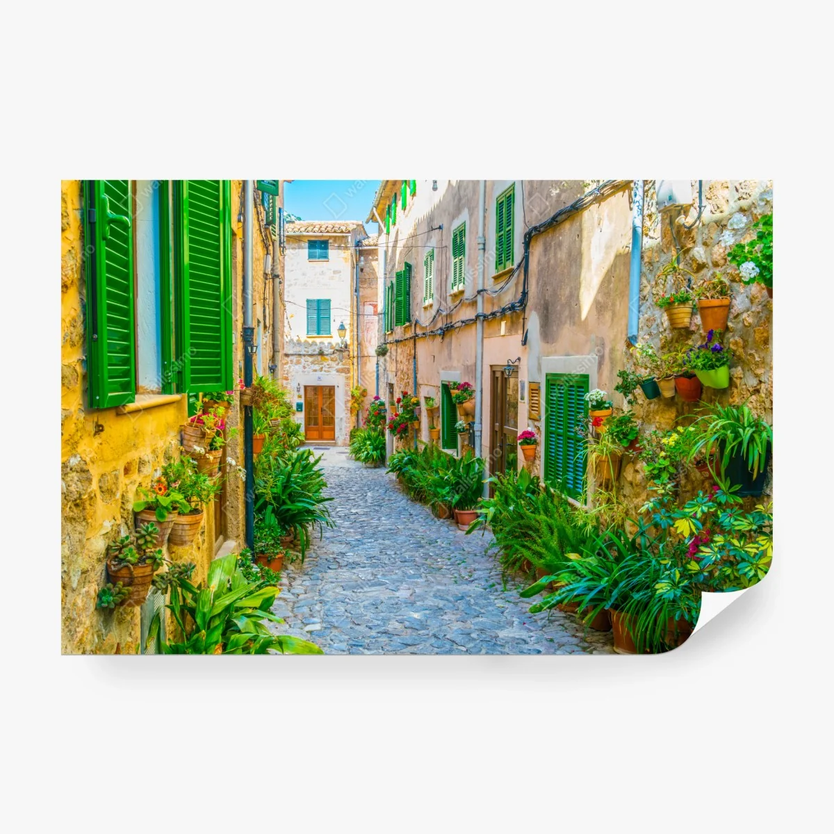 Papier peint ruelle méditerranéenne fleurie aux volets verts – Wallnifity®