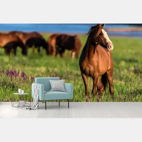 Papier peint cheval brun dans une prairie fleurie au soleil – Wallnifity®