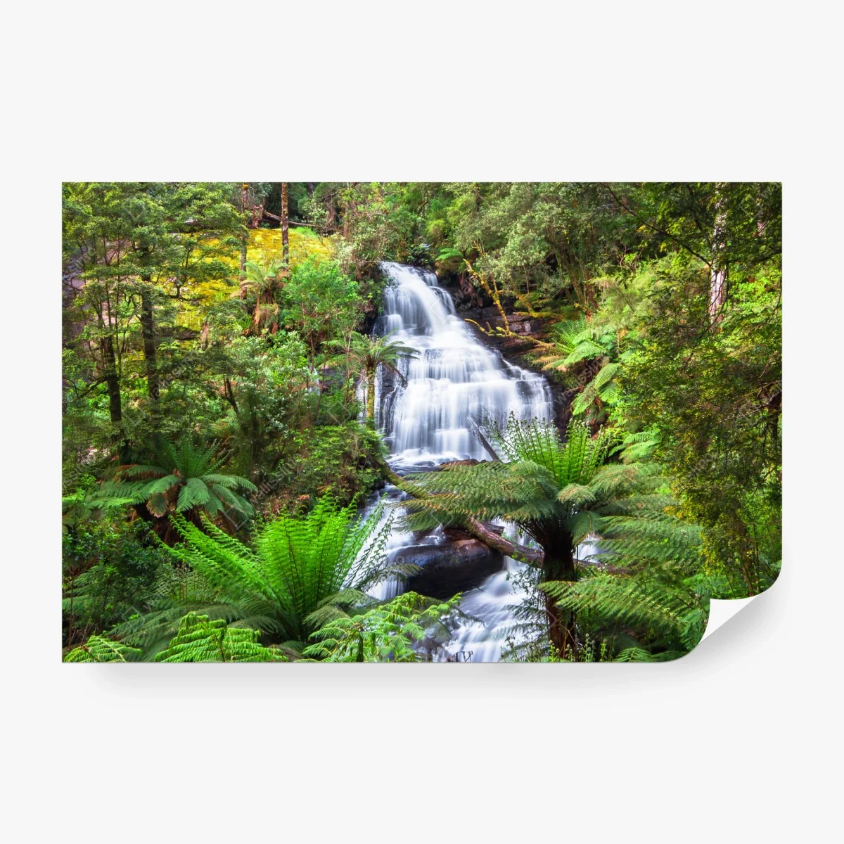 Papier peint oasis verte de Triplet Falls, Great Otway – Wallnifity® Papier peint oasis verte de Triplet Falls, Great Otway – Wallnifity®