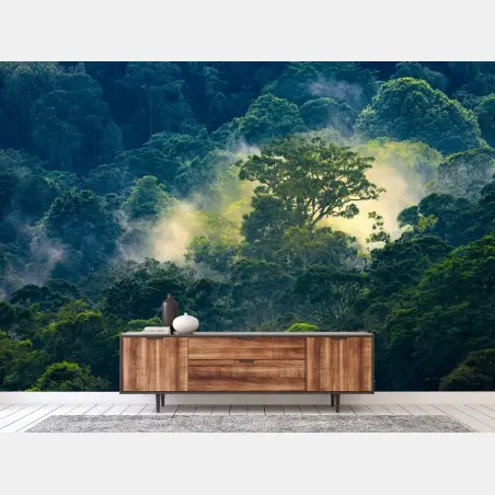 Papier peint canopée tropicale embrumée baignée de lumière – Wallnifity®
