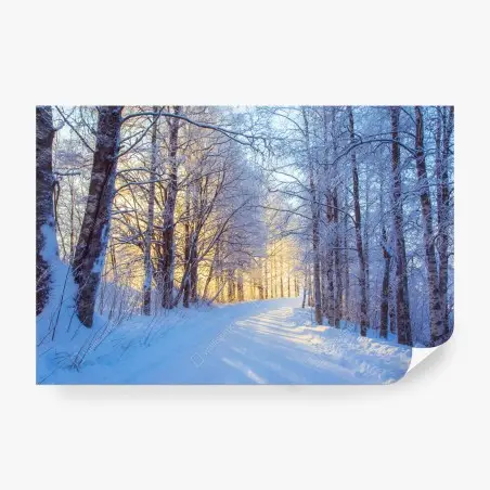 Papier peint promenade hivernale au soleil doré – Wallnifity®