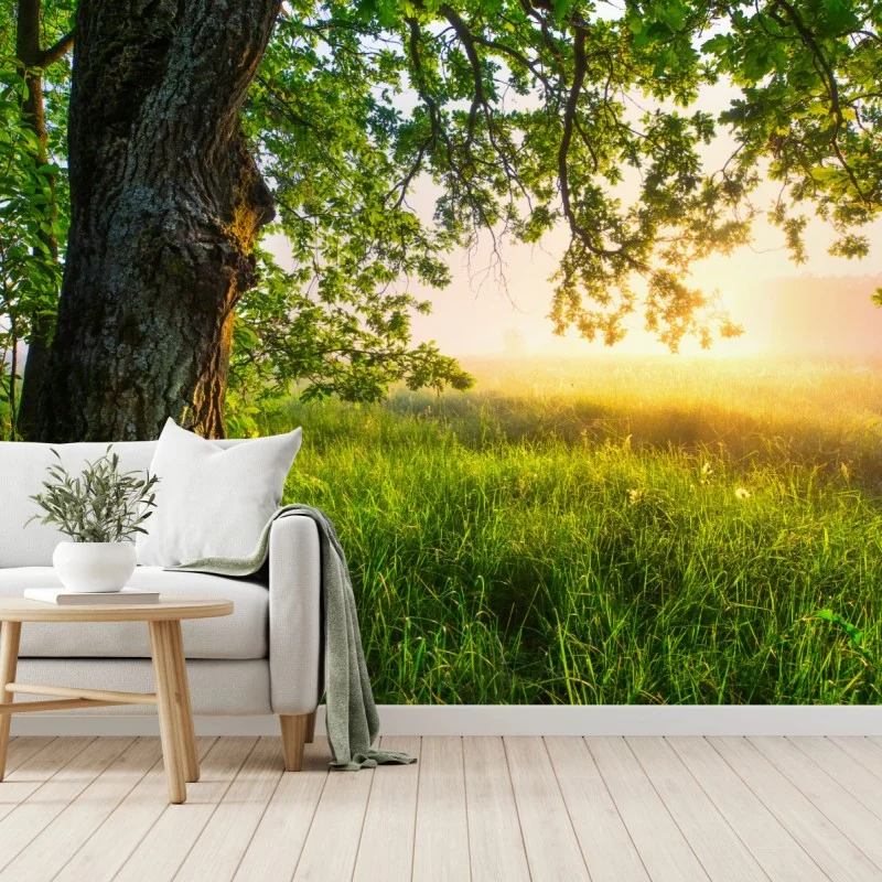 Nature – Wallnifity®