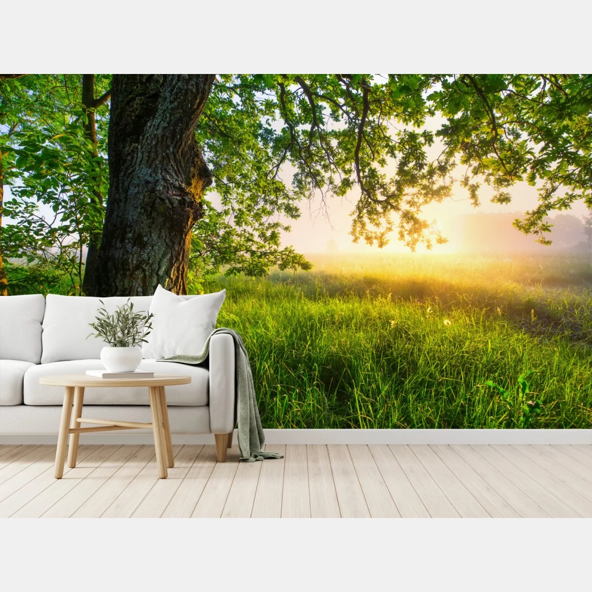 Papier peint sous le grand chêne au lever du soleil – Wallnifity® Papier peint sous le grand chêne au lever du soleil – Wallnifity®