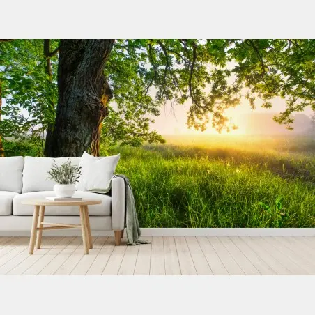 Papier peint sous le grand chêne au lever du soleil – Wallnifity®