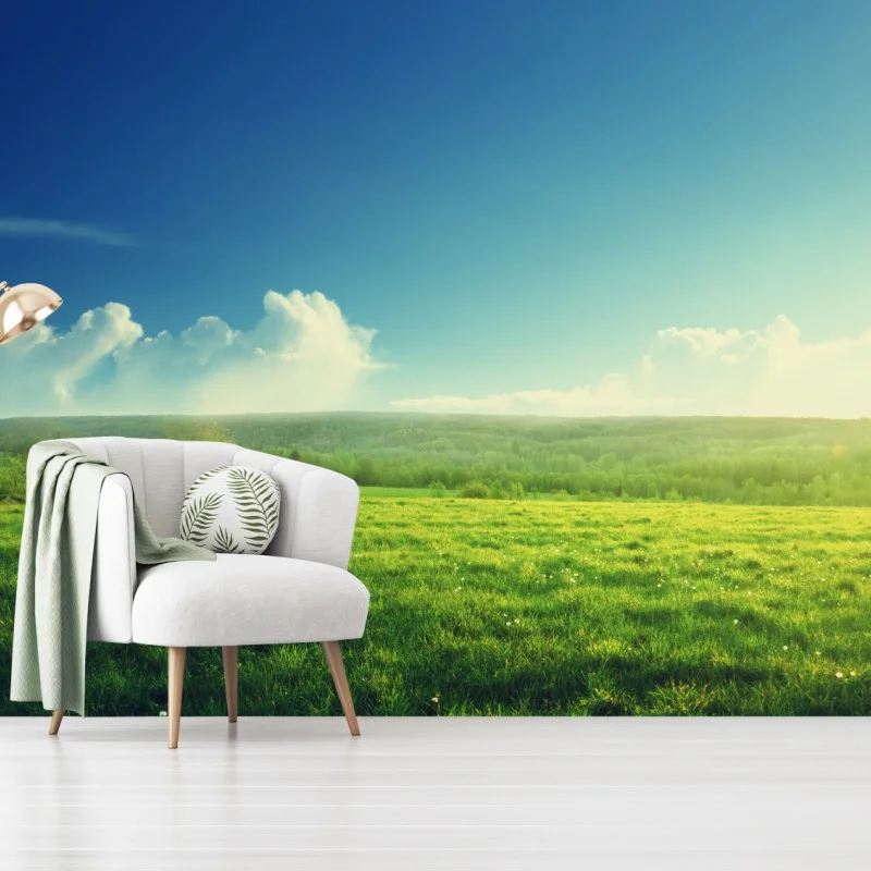 Papier peint coucher de soleil printanier sur une prairie verdoyante – Wallnifity®
