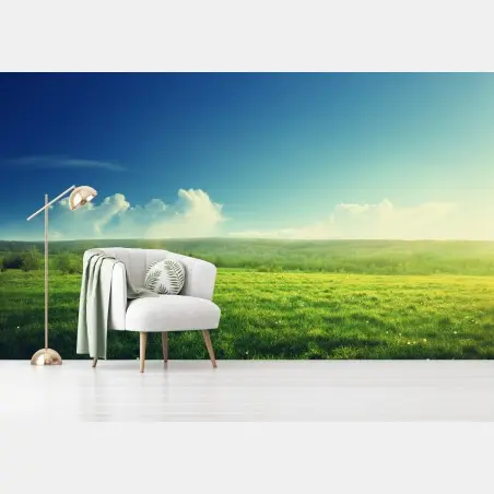 Papier peint coucher de soleil printanier sur une prairie verdoyante – Wallnifity®