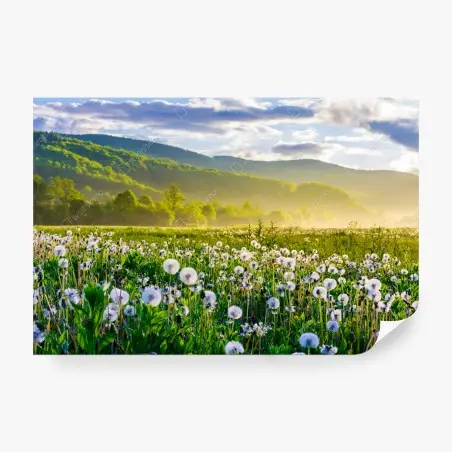 Papier peint pissenlits et brume matinale en montagne – Wallnifity®