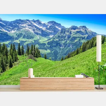 Papier peint panorama estival des Alpes Suisses à Engelberg – Wallnifity®
