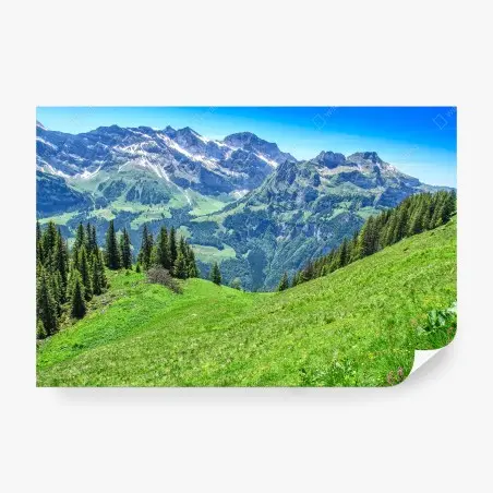 Papier peint panorama estival des Alpes Suisses à Engelberg – Wallnifity®