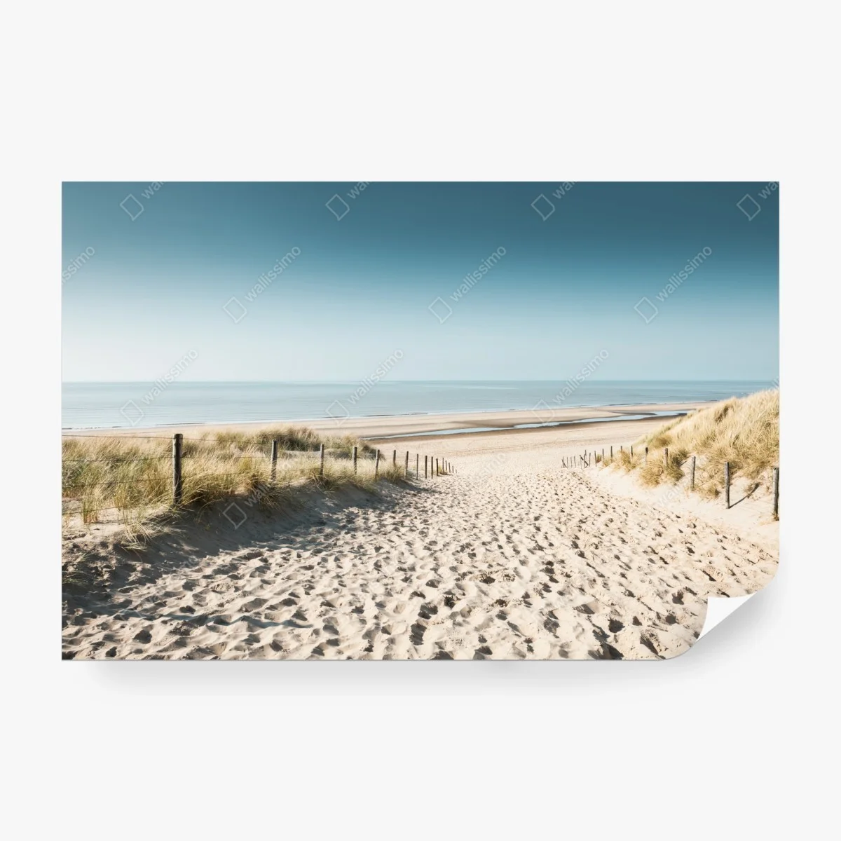 Papier peint chemin de sable vers la mer à Noordwijk – Wallnifity®