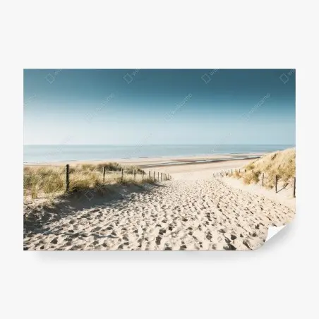 Papier peint chemin de sable vers la mer à Noordwijk – Wallnifity®