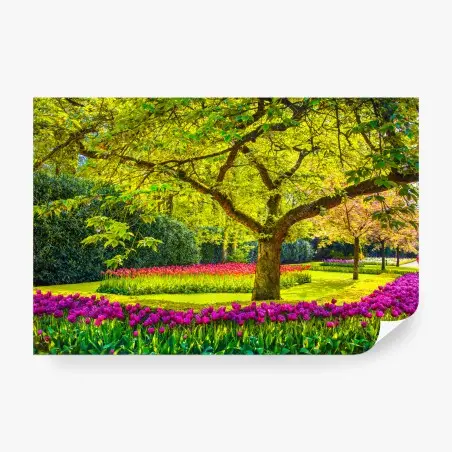 Papier peint promenade de printemps parmi les tulipes à Keukenhof – Wallnifity®