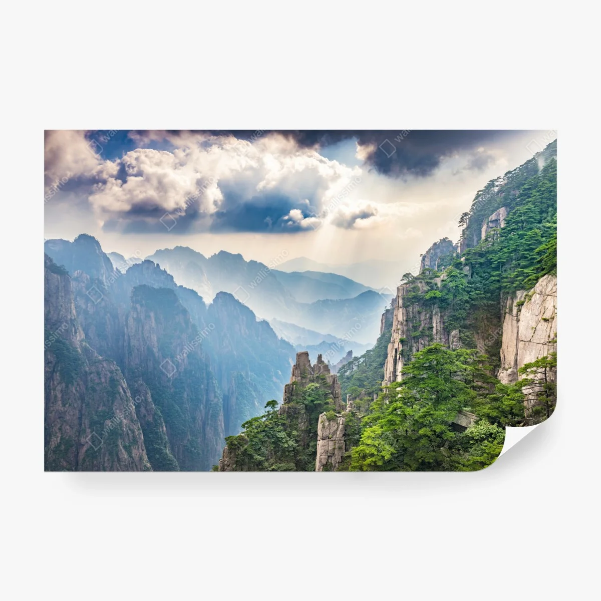 Papier peint panorama de montagnes embrumées et pins – Wallnifity® Papier peint panorama de montagnes embrumées et pins – Wallnifity®