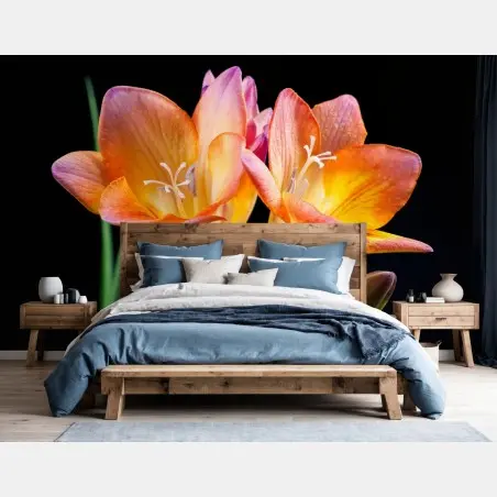 Papier peint freesias lumineux sur fond noir – Wallnifity®