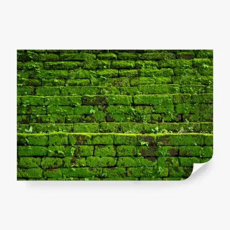 Papier peint mousse verte sur briques anciennes – Wallnifity®