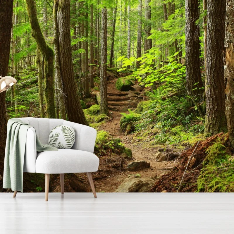 Forêts – Wallnifity®
