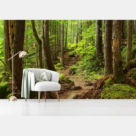 Papier peint sentier enchanté en forêt verdoyante – Wallnifity®