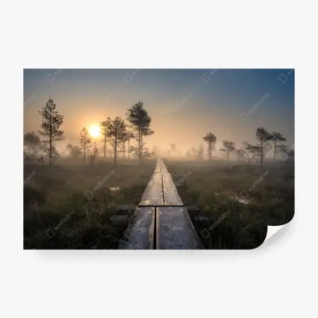 Papier peint sentier en bois dans la brume au lever du soleil – Wallnifity®